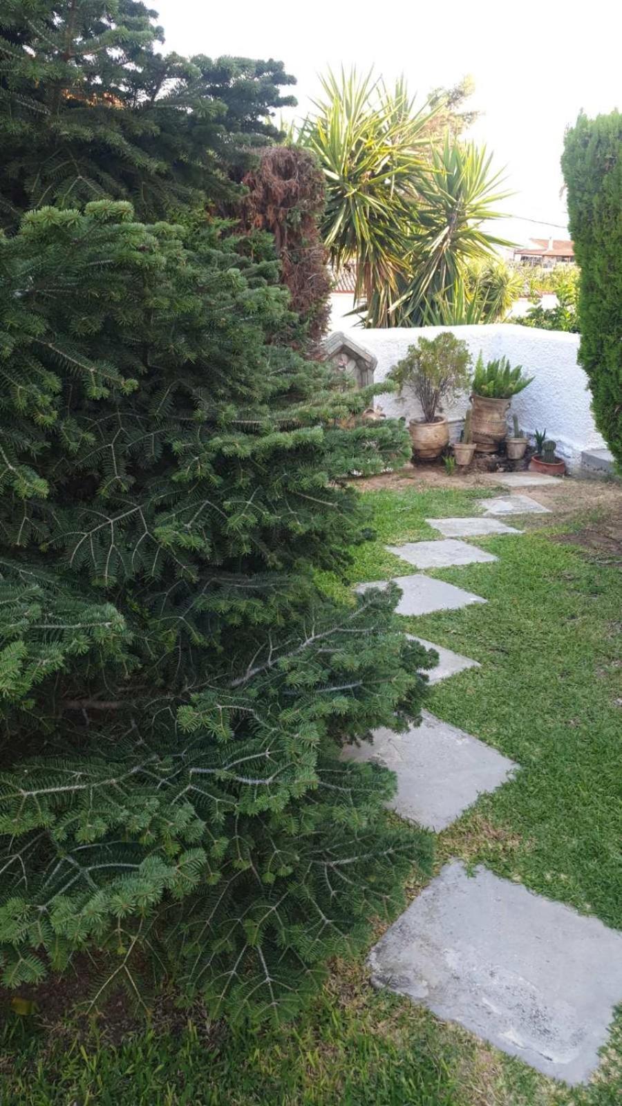Garden House Amarynthos Exterior foto